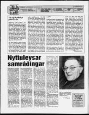 Síða 2