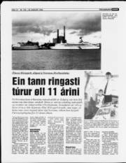 Síða 10