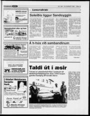 Síða 13