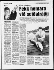 Síða 7
