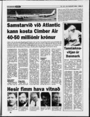 Síða 11