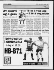 Síða 13