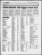 Síða 17