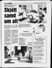 Síða 3