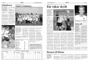 Síða 12