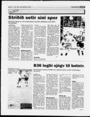 Síða 12