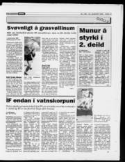 Síða 13