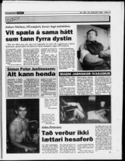 Síða 15