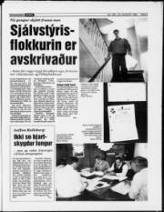 Síða 3
