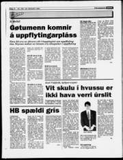 Síða 14
