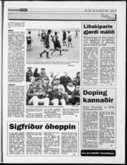 Síða 13