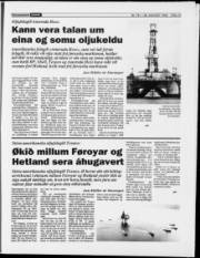 Síða 13