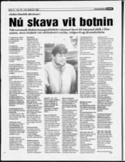 Síða 14