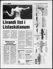Síða 19