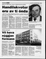 Síða 3
