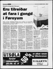 Síða 7