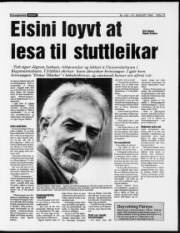 Síða 13