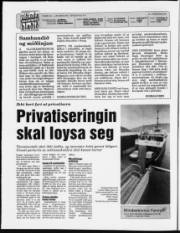 Síða 2