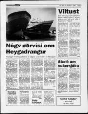 Síða 3