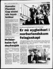 Síða 4