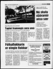 Síða 6