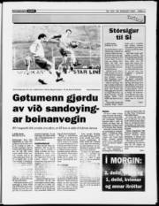 Síða 11