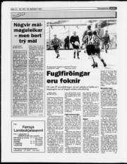 Síða 12