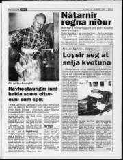 Síða 3