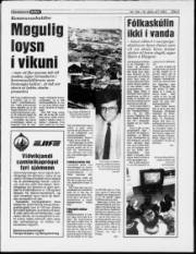 Síða 5