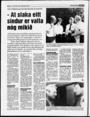 Síða 8
