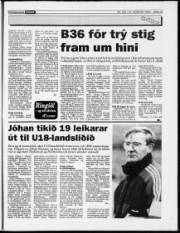 Síða 13