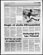 Síða 14