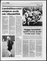 Síða 15