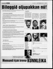 Síða 13