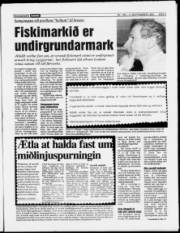 Síða 5