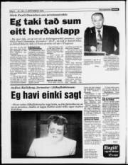 Síða 6