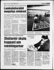 Síða 8