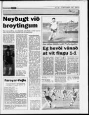 Síða 19