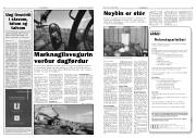 Síða 5
