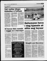 Síða 12