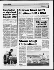 Síða 13