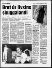 Síða 17