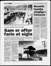 Síða 3