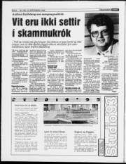Síða 6