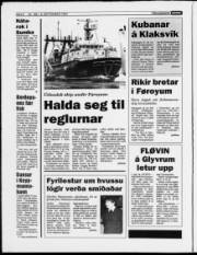 Síða 8