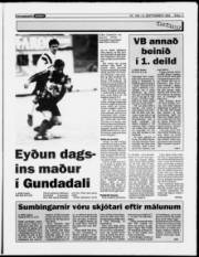Síða 11