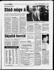 Síða 3