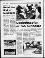 Síða 6