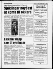 Síða 7