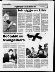 Síða 11